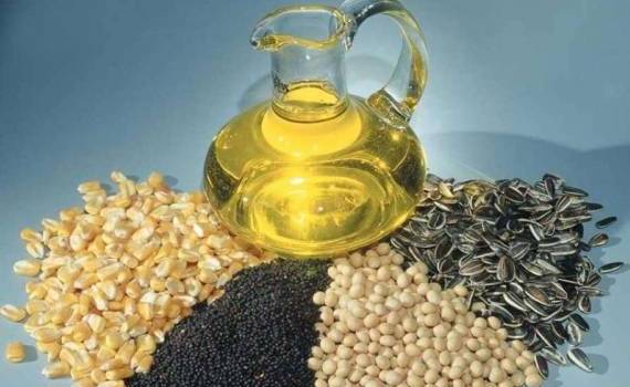 В декабрьском отчете USDA повышен прогноз производства масличных 2024/25 МГ - agroexpert.md