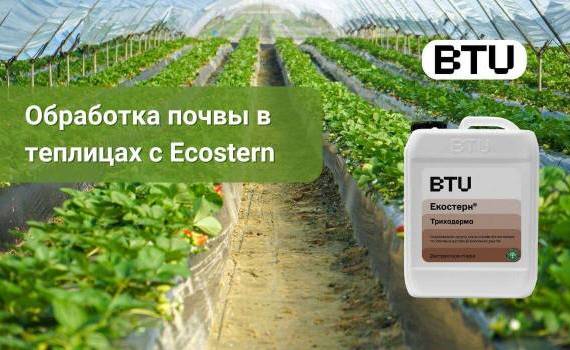 Обработка почвы в теплицах с Ecostern