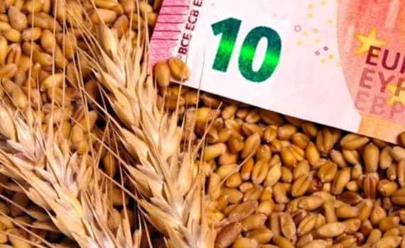 Европейский рынок пшеницы: в четверг на Euronext цена немного снизилась - agroexpert.md
