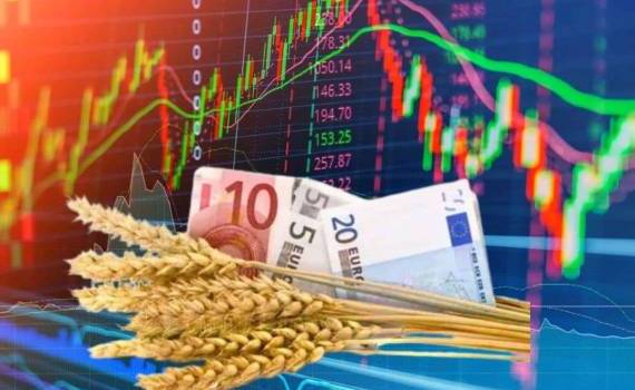 За прошедшую неделю цена на пшеницу на бирже MATIF выросла - agroexpert.md