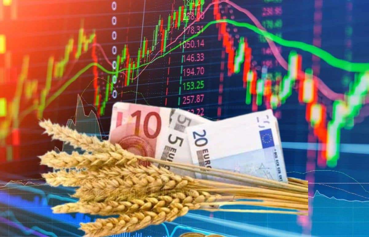 За прошедшую неделю цена на пшеницу на бирже MATIF выросла - agroexpert.md