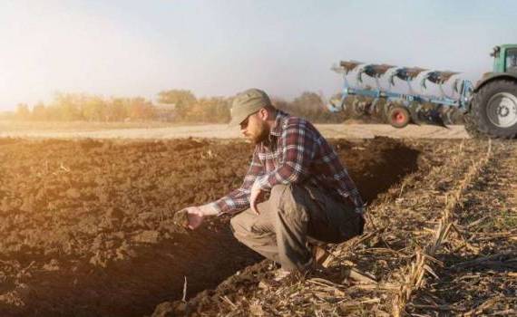 Agroexpert: Iurie Rija afirmă că moratoriul la plata creditelor, pot atenua pe moment dificultățile, dar nu oferă o soluție durabilă - agroexpert.md