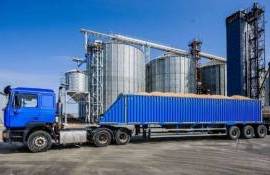 Экспорт зерна из ЕС упал на 30% - agroexpert.md