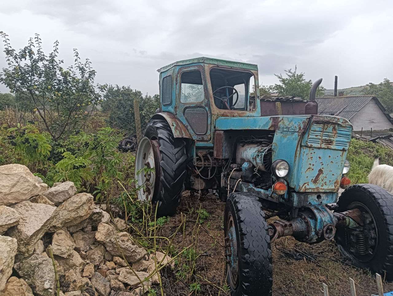 Agricultura moldovenească suferă din cauza utilajelor vechi - agroexpert.md