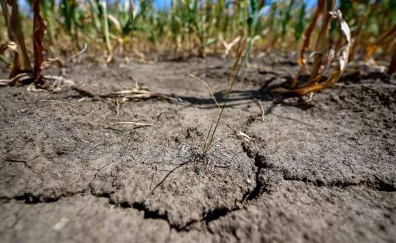 Avizul cu privire la secetă, pe ordinea de zi - agroexpert.md
