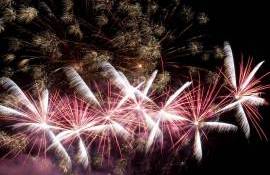 IPM focuri de artificii - agroexpert.md