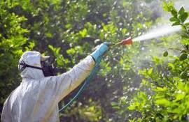 Cum se clasifică insecticidele