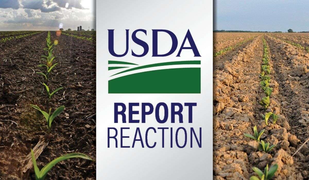 Анализ цен на зерно USDA - AgroExpert