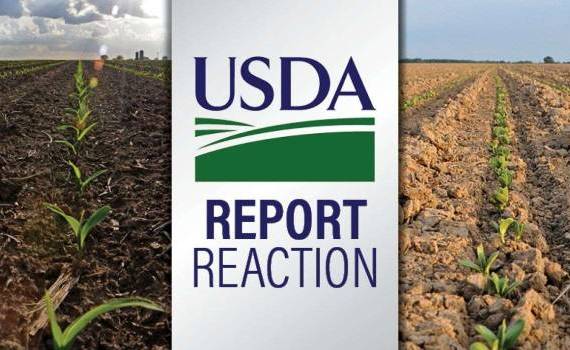 Анализ цен на зерно USDA - AgroExpert