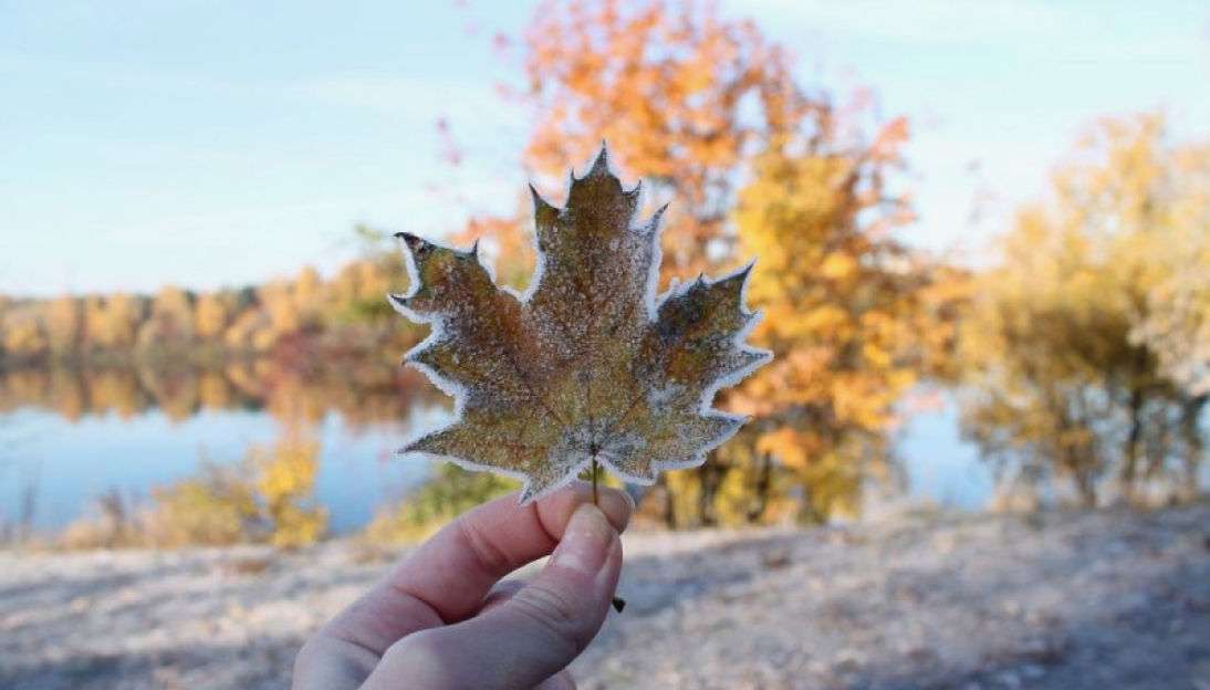  Temperaturi scăzute și condiții de ghețuș - agroexpert.md