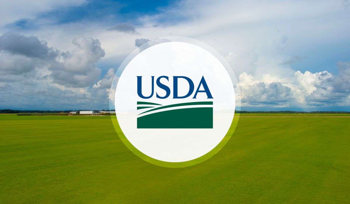 отчет usda январь - AgroExpert