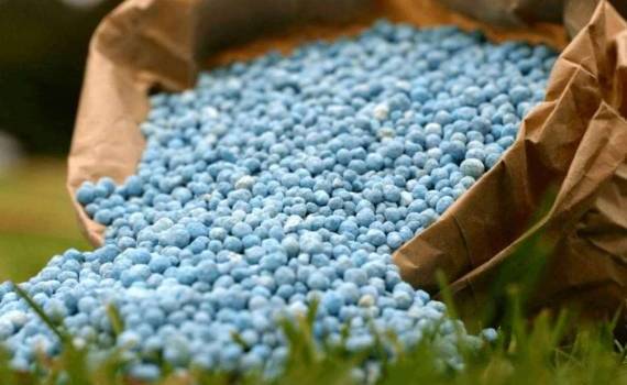 Новый год обрушился на фермеров ЕС резким ростом цен на удобрения - agroexpert.md