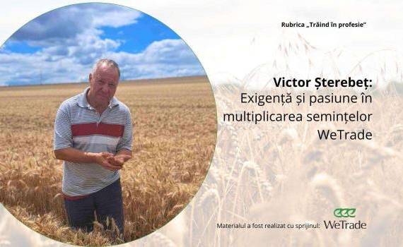 Victor Șterebeț: Exigență și pasiune în multiplicarea semințelor WeTrade - agroexpert.md