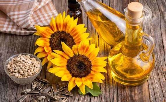 Tendințe în comerțul cu semințe și ulei de floarea-soarelui - agroexpert.md