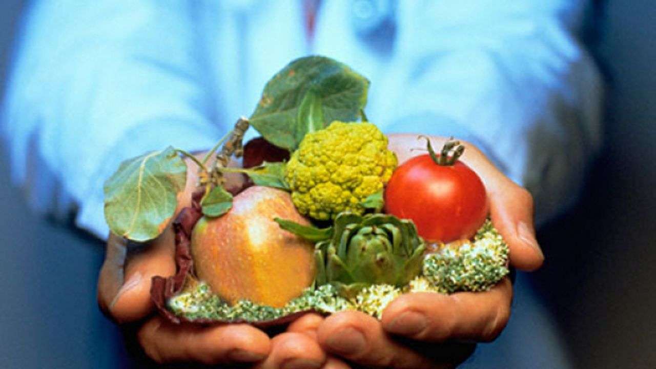 importatorilor de plante, produse vegetale - agroexpert.md