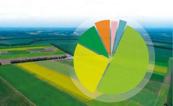 Мировой спрос влияет на изменения в структуре посевных площадей Украины - agroexpert.md