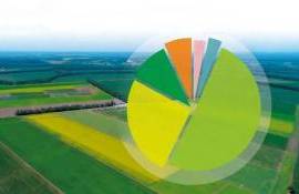 Мировой спрос влияет на изменения в структуре посевных площадей Украины - agroexpert.md