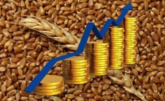 Высокий спрос и низкое предложение вызвал рост цен на пшеницу в Украине - agroexpert.md