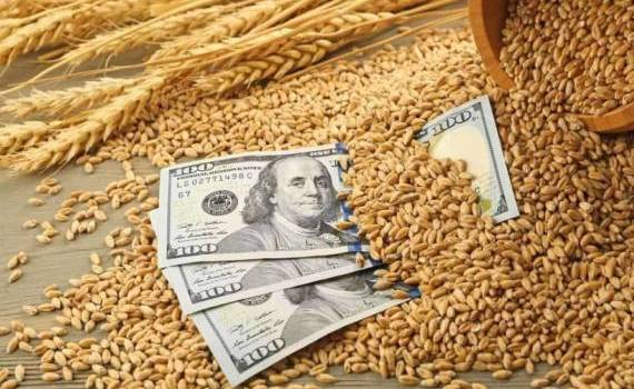 Мировой рынок зерна, вторник: пшеница, кукуруза и соя резко подорожали - agroexpert.md