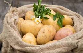 Румынские фермеры не хотят выращивать картофель из-за роста затрат - agroexpert.md