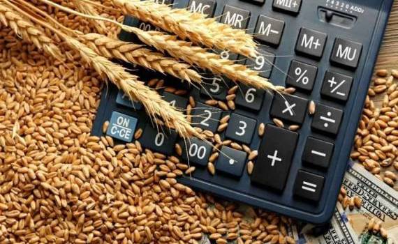 В Европе на фоне слабого экспорта пшеницы растет внутренний спрос - agroexpert.md
