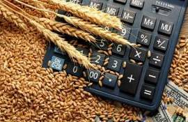 В Европе на фоне слабого экспорта пшеницы растет внутренний спрос - agroexpert.md