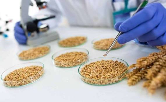 Фермеры в ЕС вскоре могут лишиться известного фунгицида флудиоксонила - agroexpert.md