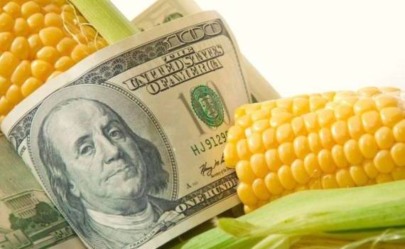 Улучшение погоды в Бразилии приводит к снижению мировых цен на кукурузу - agroexpert.md