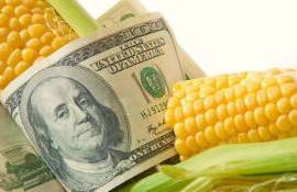 Улучшение погоды в Бразилии приводит к снижению мировых цен на кукурузу - agroexpert.md