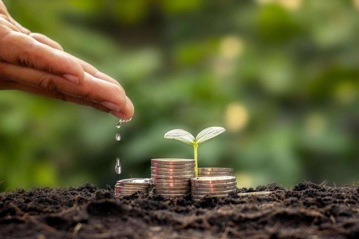 Găsește finanțare și calculează costul investiției tale - agroexpert.md