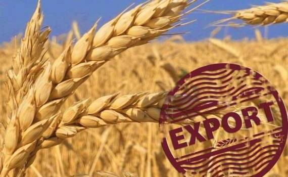 В 2024 году рынок ЕС занял 52% от всего украинского агроэкспорта - agroexpert.md