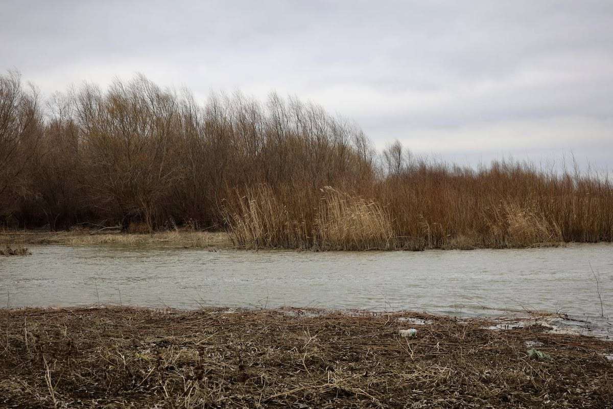 canal  Lacul Beleu vor fi curățate - agriexpert.md