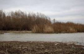 canal  Lacul Beleu vor fi curățate - agriexpert.md