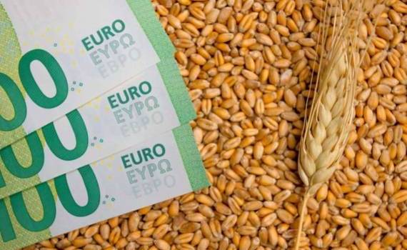 Европейский рынок: цены на новый урожай на Euronext остались стабильными - agroexpert.md