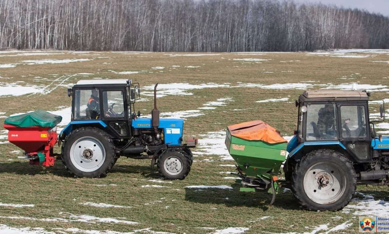 Есть ли целесообразность однократного внесения азота под озимые - agroexpert.md