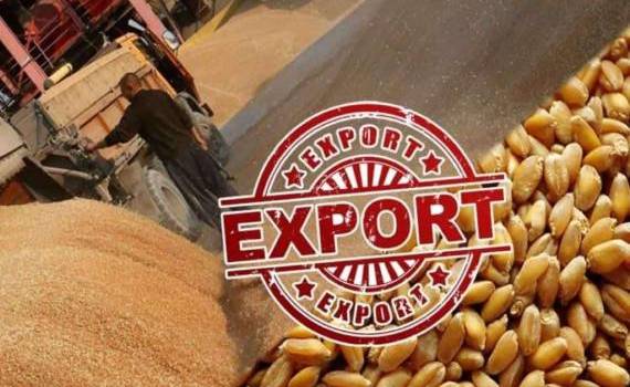 В Украине утвердили минимальные экспортные цены агропродукции на февраль - agroexpert.md