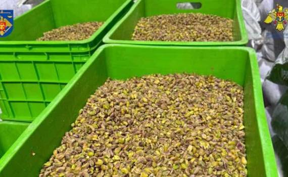 Contrabandă cu nuci și fistic - agroexpert.md