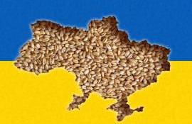 Tranzitul de cereale din Ucraina prin Moldova  - agroexpert.md