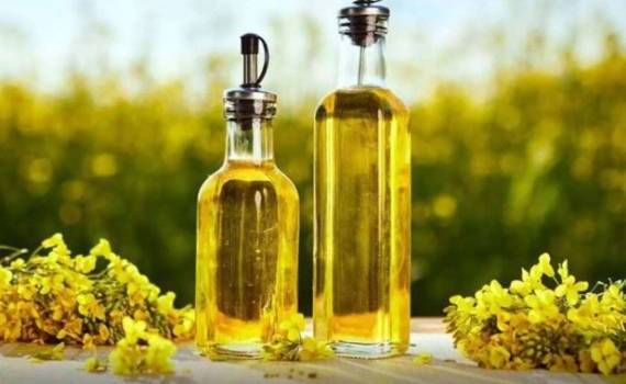 Статус основного поставщика рапсового масла в ЕС остаётся за Украиной - agroexpert.md