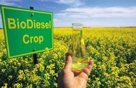 Биодизель – причина снижения импорта растительных масел в ЕС в 2024/25 МГ - agroexpert.md