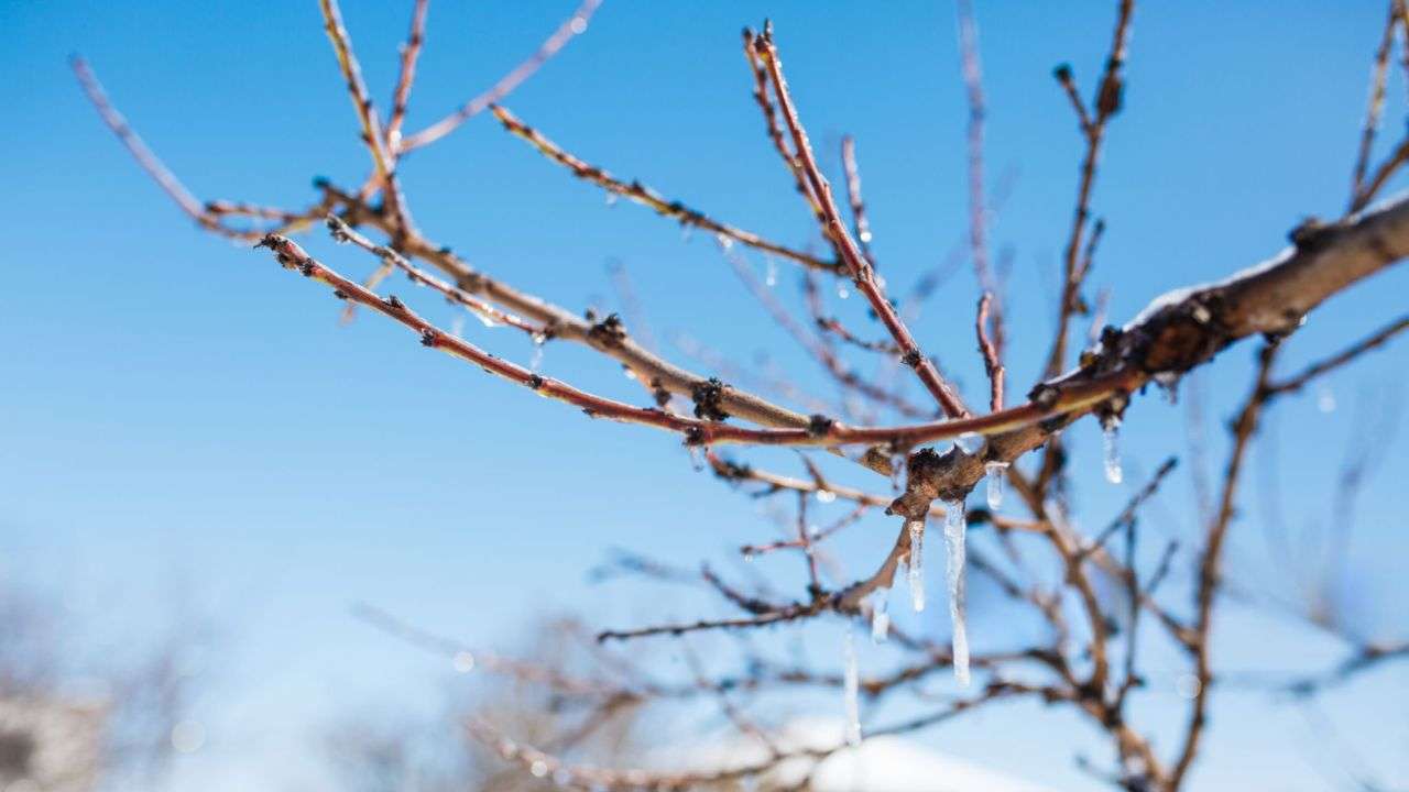 Prognoza meteo februarie - agroexpert.md