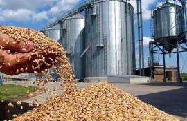 Снижен прогноз мирового производства зерна в сезоне 2024/25 - IGC - agroexpert.md