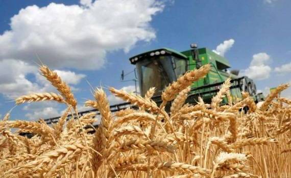 Четыре страны ЕС призывают вернуть квоты на украинский аграрный экспорт - agroexpert.md