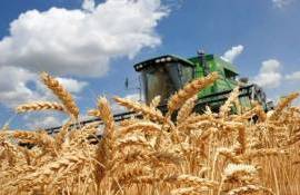 Четыре страны ЕС призывают вернуть квоты на украинский аграрный экспорт - agroexpert.md