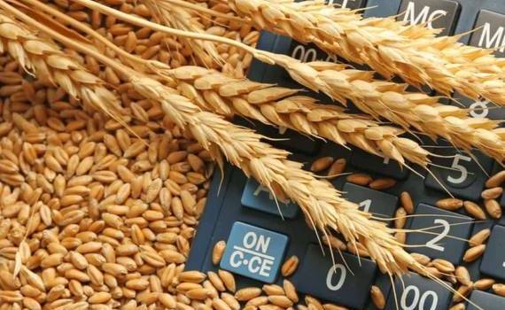 Несмотря на снижение мировых котировок в Украине цены на пшеницу растут - agroexpert.md