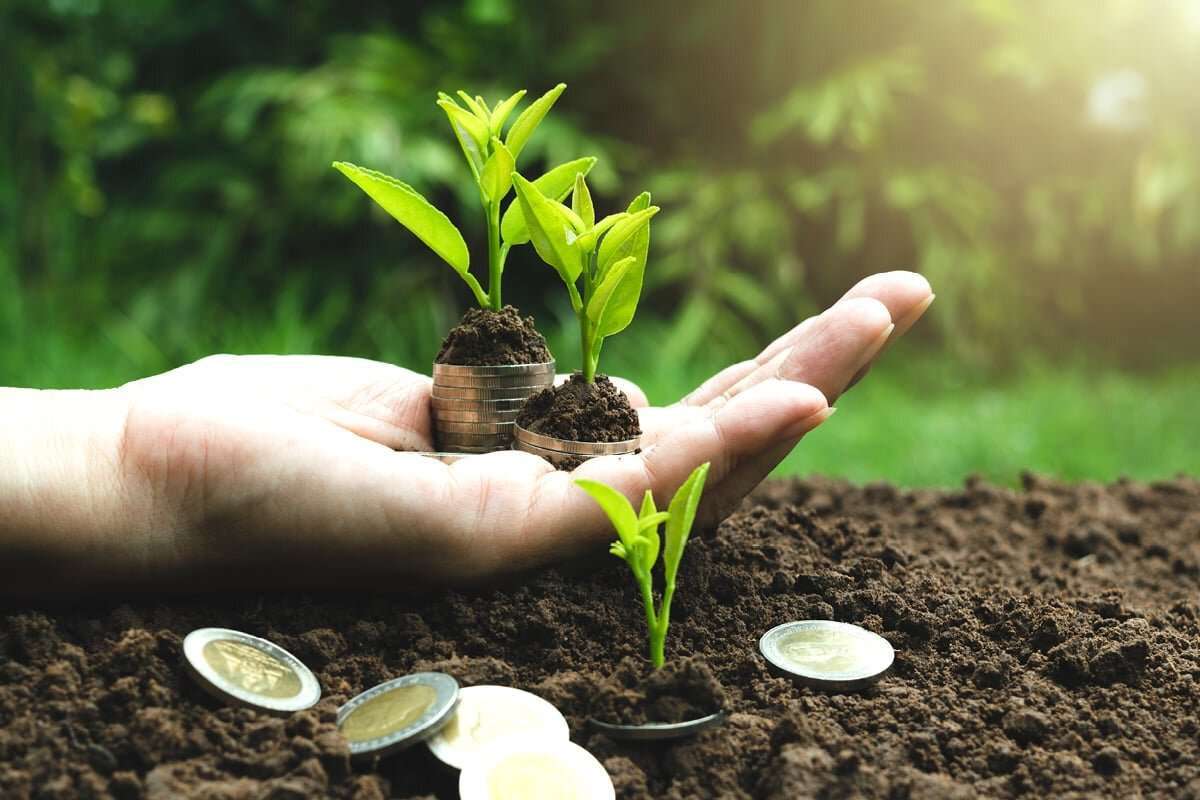 Credite preferențiale pentru fermieri - agroexpert/md