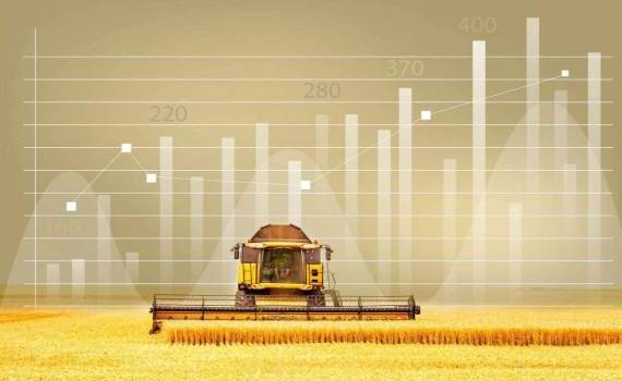 Европейский рынок: во вторник пшеница на бирже Euronext немного выросла - agroexpert.md