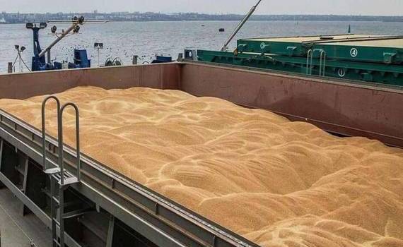 Турция намерена нарастить импорт пшеницы во второй половине 2024/25 МГ - agroexpert.md