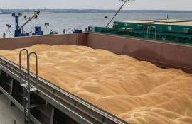 Турция намерена нарастить импорт пшеницы во второй половине 2024/25 МГ - agroexpert.md