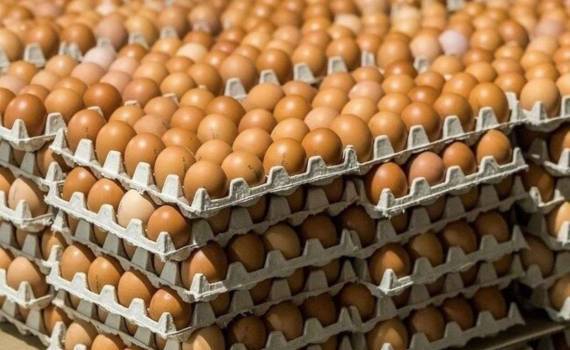 Один миллиард долларов на преодоление дефицита яиц потратят в США - agroexpert.md